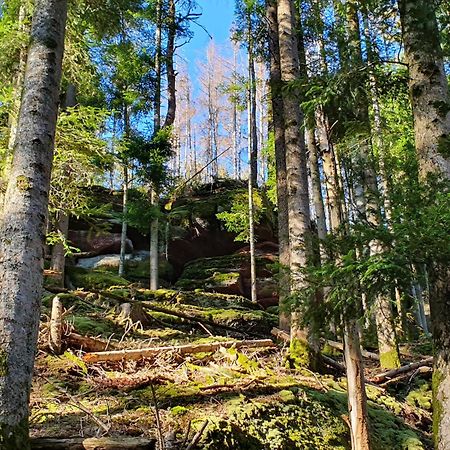 Вилла La Gambas Des Bois Saint-Quirin Экстерьер фото